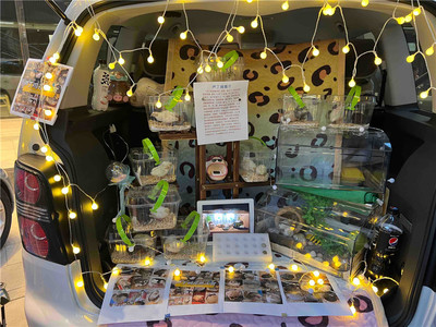 都市新潮“后备箱集市” 年轻人的另类地摊经济与日用杂品焕新记